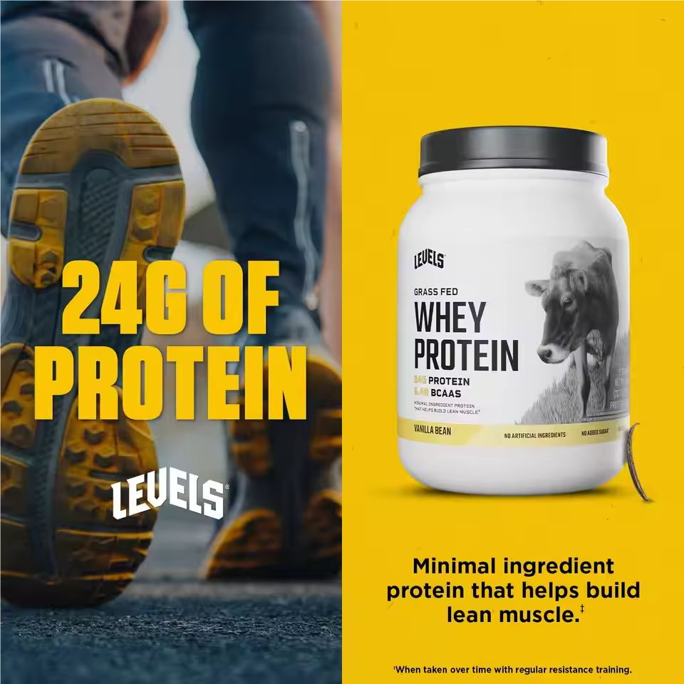 Grass Fed Whey Protein Powder, No Artificials